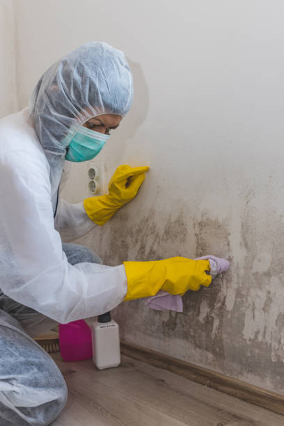 Best Air Quality Testing for Mold Spores  in Fritz Creek, AK