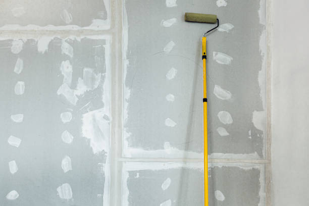 Best Environmental Consulting for Mold Prevention  in Fritz Creek, AK