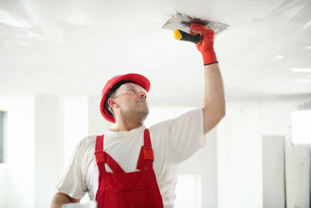 Best Mold Damage Restoration  in Fritz Creek, AK