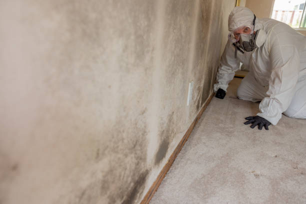 Best Mold Remediation for Healthcare Facilities  in Fritz Creek, AK